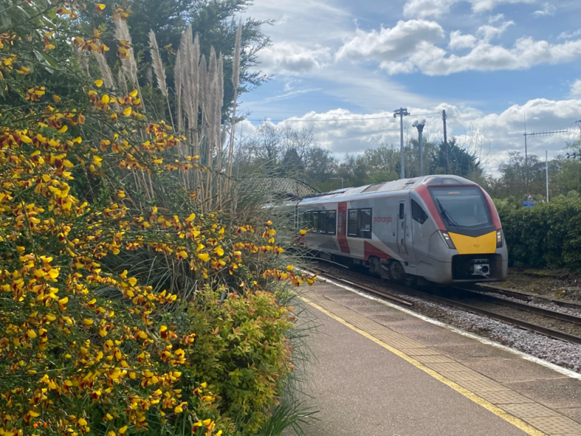 A Greater Anglia train passing through Brundall. Credit: Greater Anglia